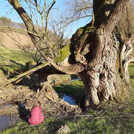 Am Schierbach Daire Fretterode