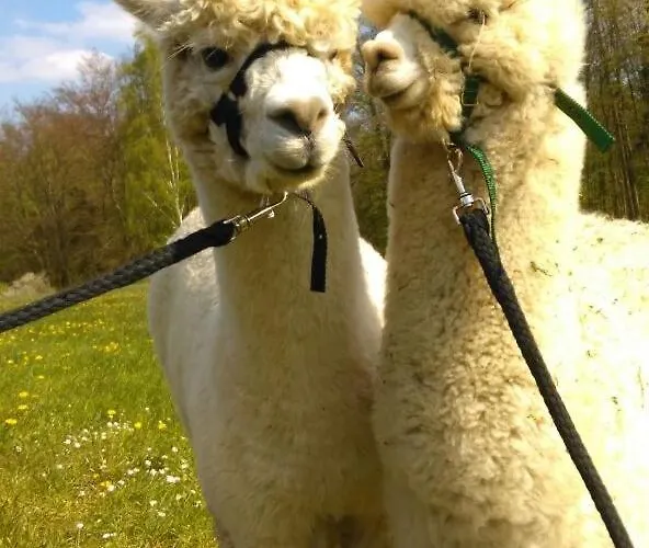 アパート Am Schierbach