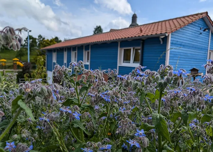 Am Schierbach アパート