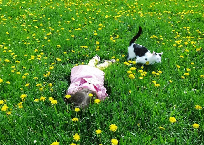 アパート Am Schierbach