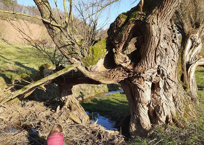 Am Schierbach アパート Fretterode